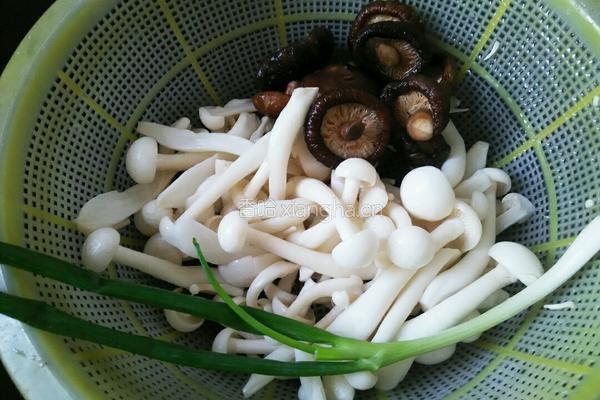 菌菇鸡汤的做法图解2
