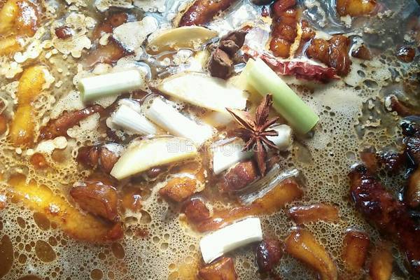 红焖肉炖粉的做法图解8