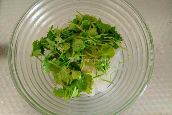 香菜粉皮的做法图解6