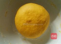 双色南瓜卷的做法图解4