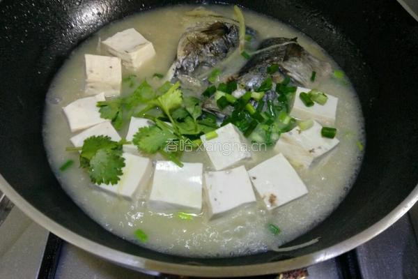 鲅鱼头炖豆腐的做法图解9