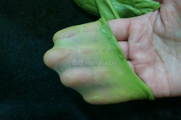 抹茶鲜奶椰蓉面包的做法图解4