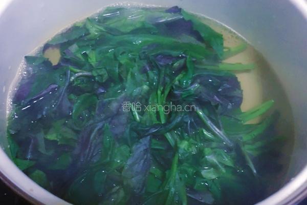 凉拌紫背菜的做法图解4