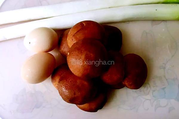 鲜肉馄饨的做法图解2