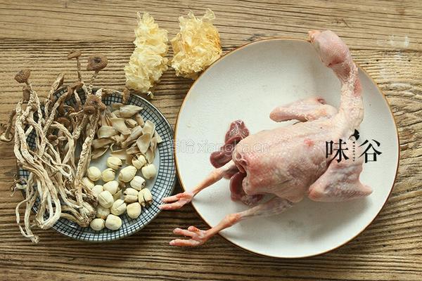 白莲茶树菇乳鸽汤的做法图解1