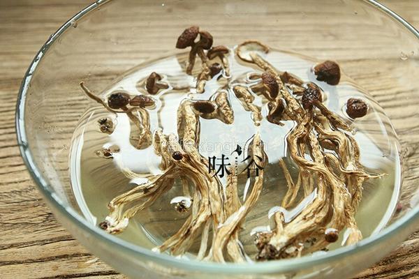白莲茶树菇乳鸽汤的做法图解3