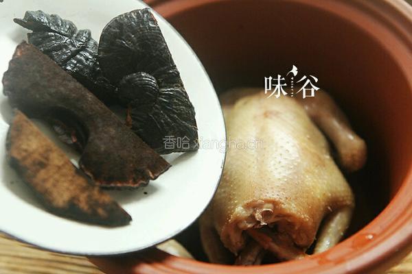 灵芝鸽子汤的做法图解3
