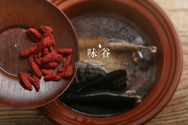 灵芝鸽子汤的做法图解4
