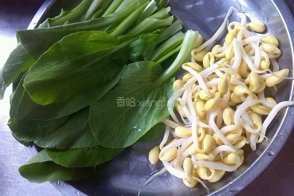 陕西油泼扯面的做法图解2