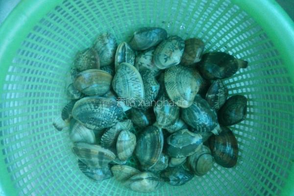 葱香蛤蜊肉的做法图解1