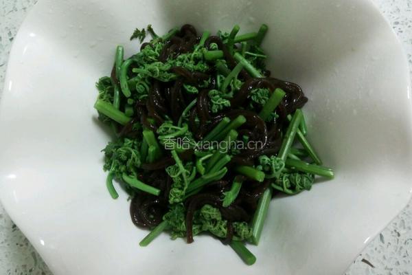 珍选捞汁蕨菜的做法图解6