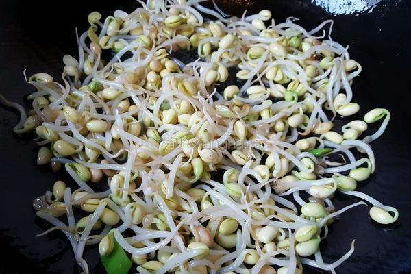 黄豆芽炒粉丝的做法图解6