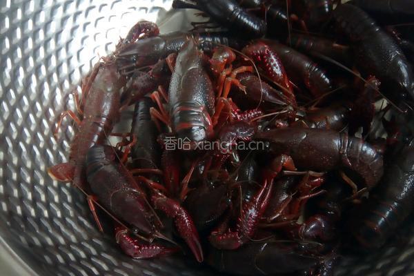 油爆大龙虾的做法图解1
