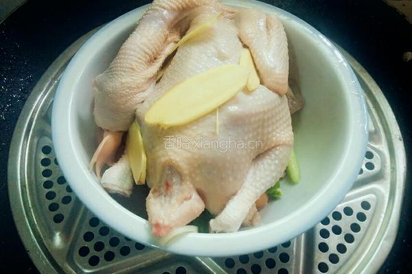 清蒸童子鸡的做法图解7
