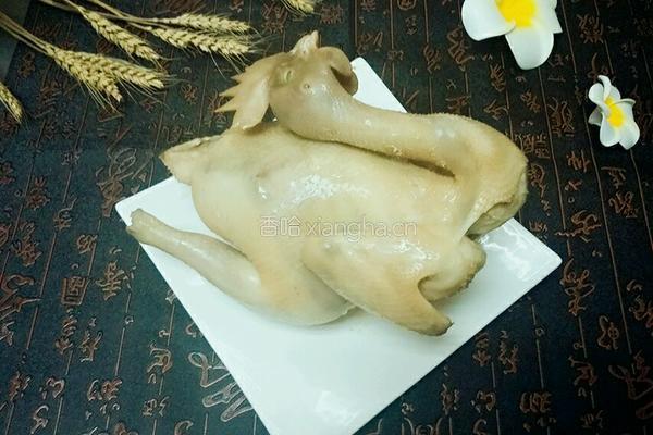 清蒸童子鸡的做法图解9