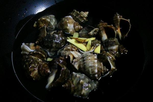 白煮海螺的做法图解4