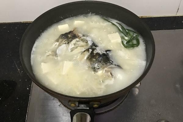 鲢鱼炖豆腐的做法图解5
