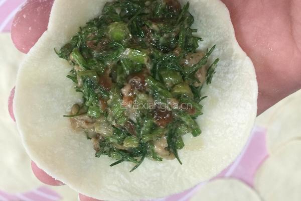 茴香蒸饺的做法图解9