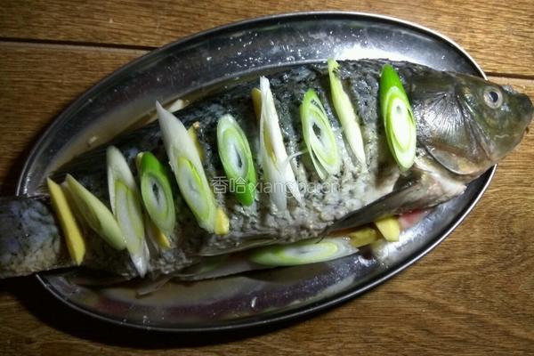 清蒸鲤鱼的做法图解4