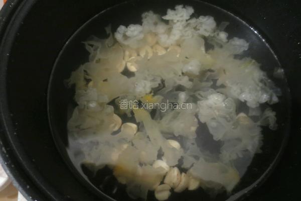 银耳莲子粥的做法图解7