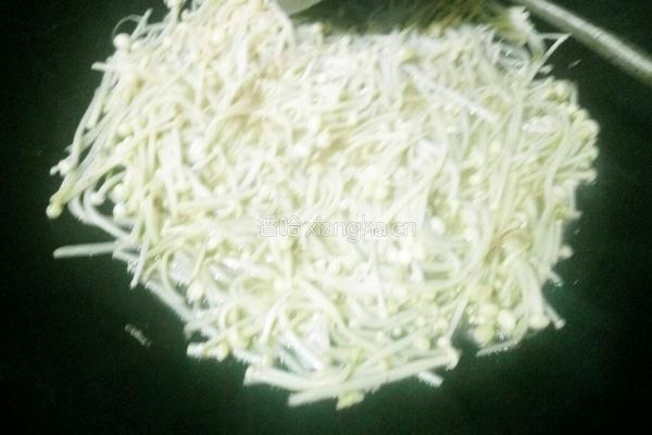 清炒金针菇的做法图解3