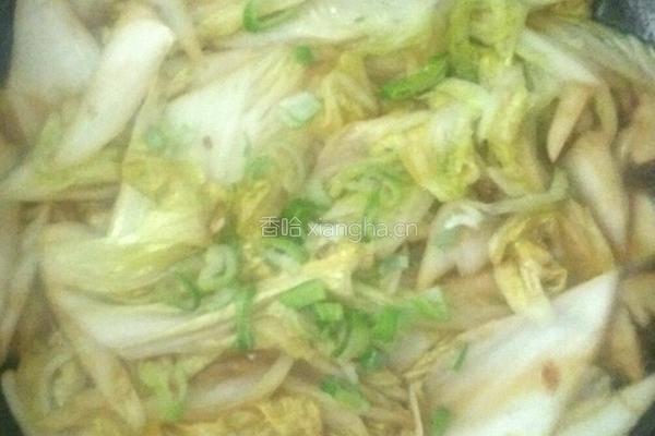家常白菜的做法图解2