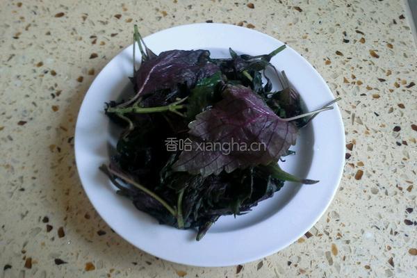 拌紫苏的做法图解2