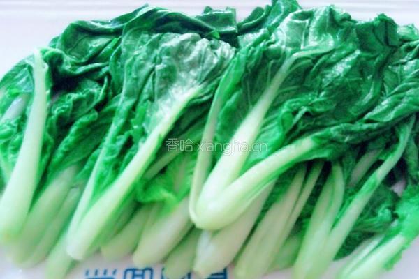 浇汁毛白菜的做法图解5