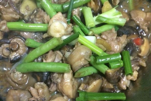 香菇滑鸡的做法图解5