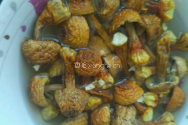 巴西菇炖土鸡的做法图解2