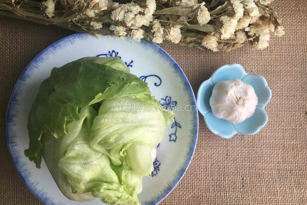 凉拌圆生菜的做法图解1