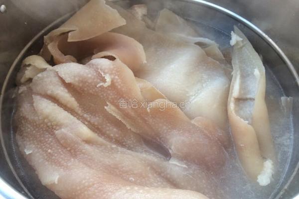 水晶肉皮冻的做法图解2