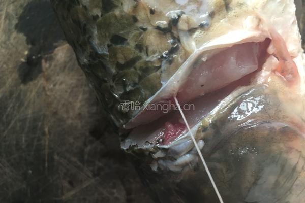 懒人酸菜鱼的做法图解2