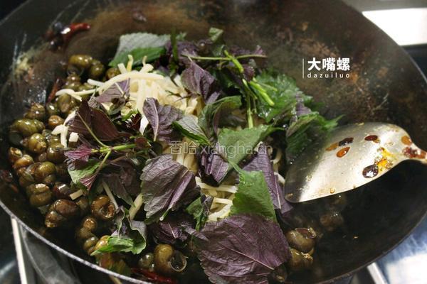 紫苏炒石螺丨大嘴螺的做法图解9