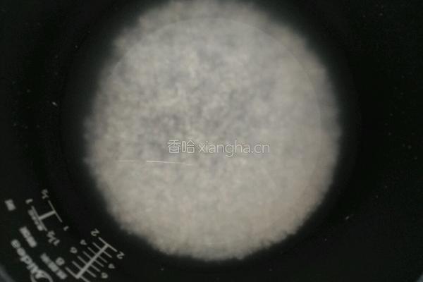 鲜虾瘦肉冬瓜粥的做法图解2