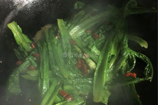 蒜泥油麦菜的做法图解6