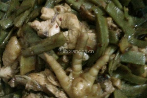 贡菜焖鸡肉的做法图解3
