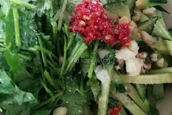 凉拌香菜黄瓜的做法图解3