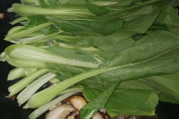香菇炒青菜的做法图解5