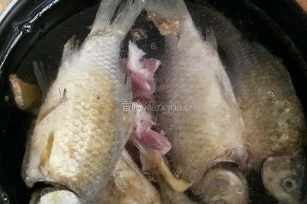 鲫鱼汤的做法图解4