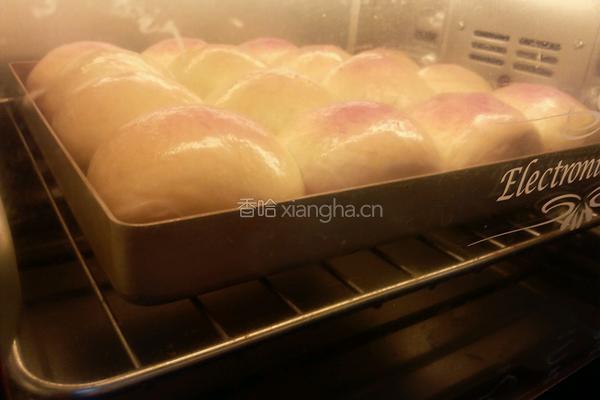 最松软没有之一的酸奶小餐包的做法图解9