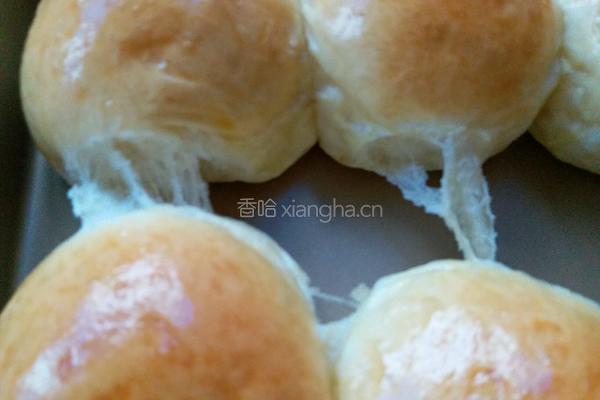最松软没有之一的酸奶小餐包的做法图解11
