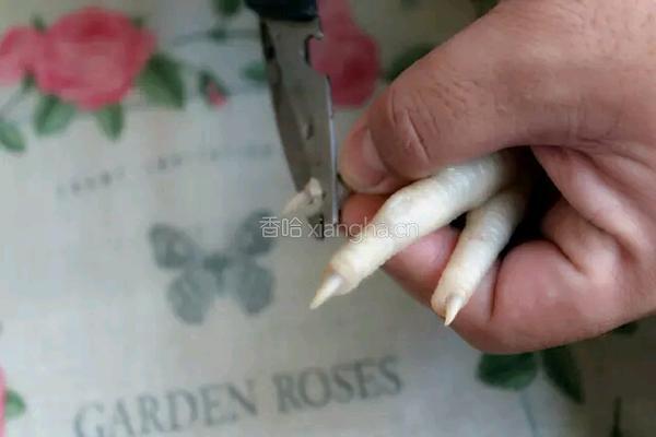 酱烧凤爪的做法图解5