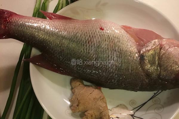 清蒸鲈鱼的做法图解1
