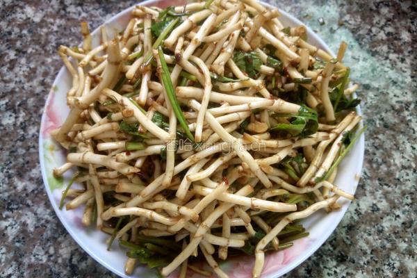 凉拌折耳根的做法图解5