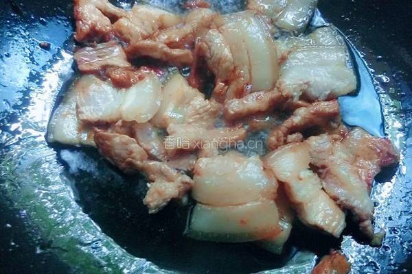 砂锅炖猪肉粉条的做法图解6