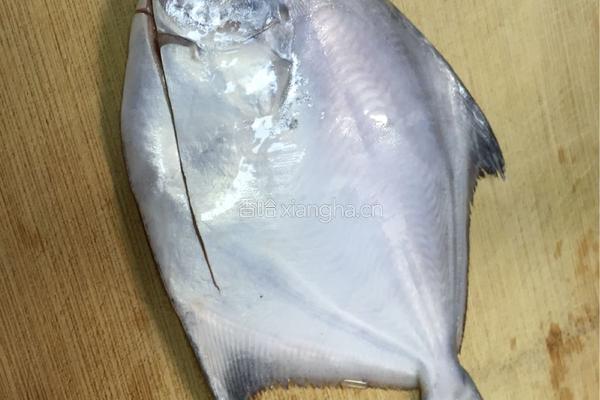 香煎白鲳鱼的做法图解1