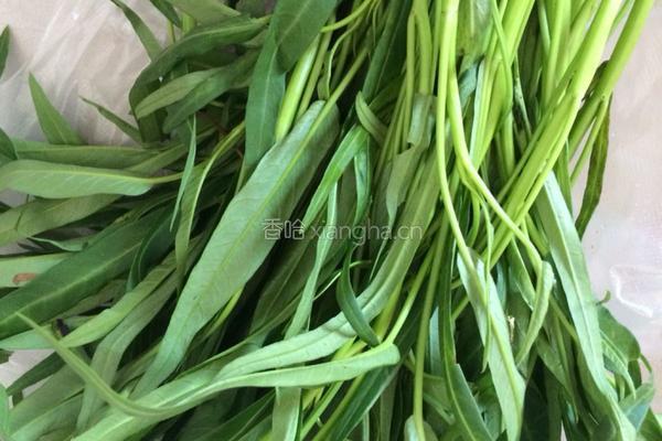 蒜蓉空心菜的做法图解1