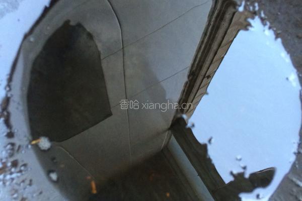 蒜蓉空心菜的做法图解4