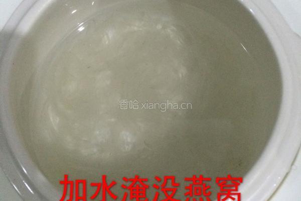 星空燕窝的做法图解2